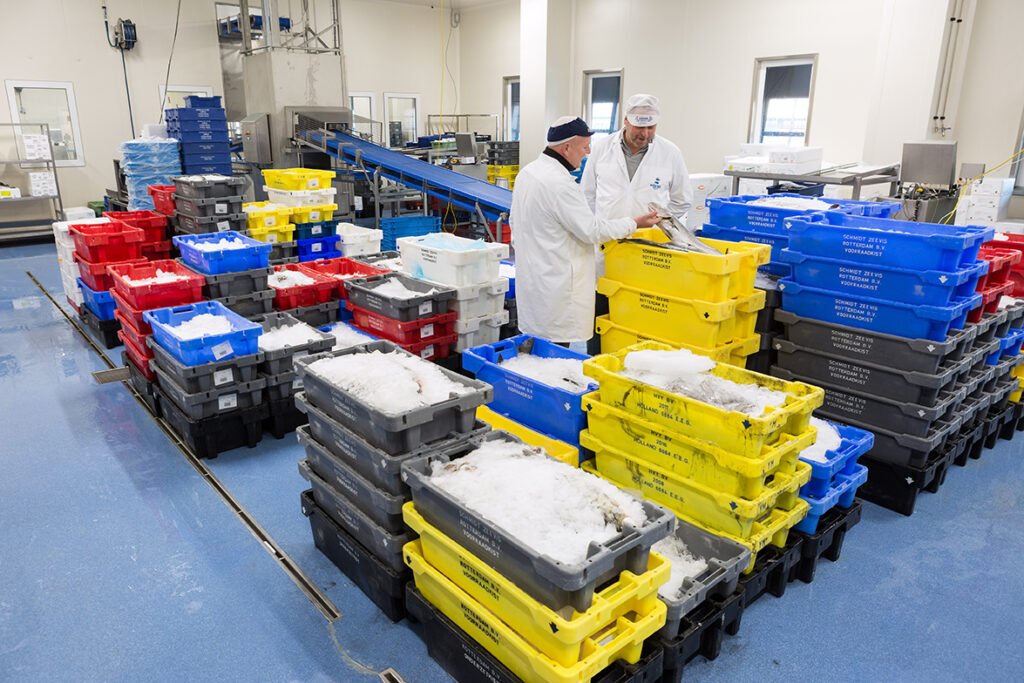 Holland-Floor---Schmidt-09---2